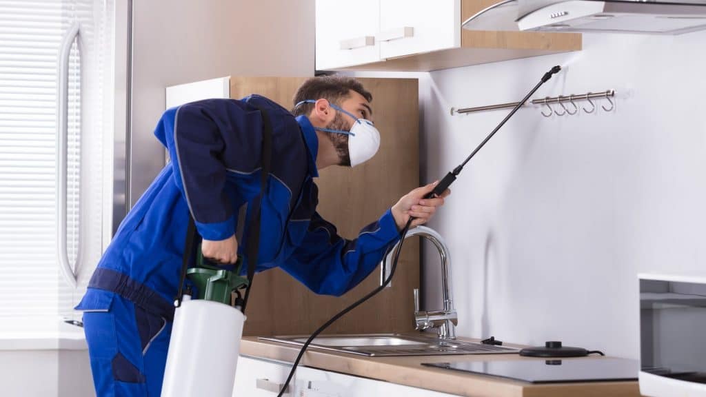 pest control technician sprays kitchen for home termite treatment