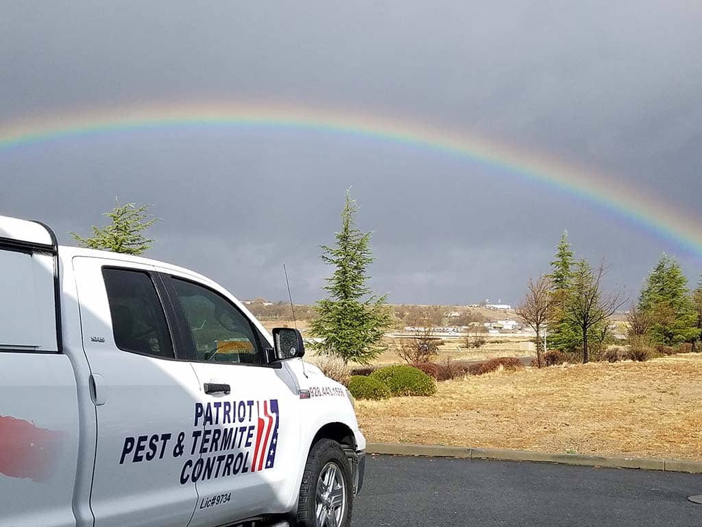 Patriot Pest & Termite Control truck with rainbow in sky