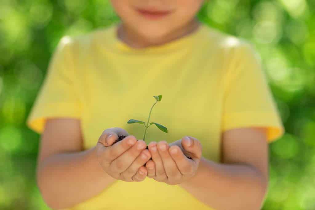 child holding young green plant in hands