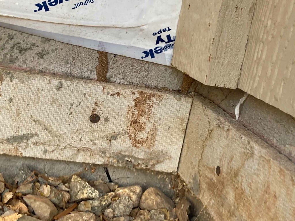 Termites on new construction in Arizona