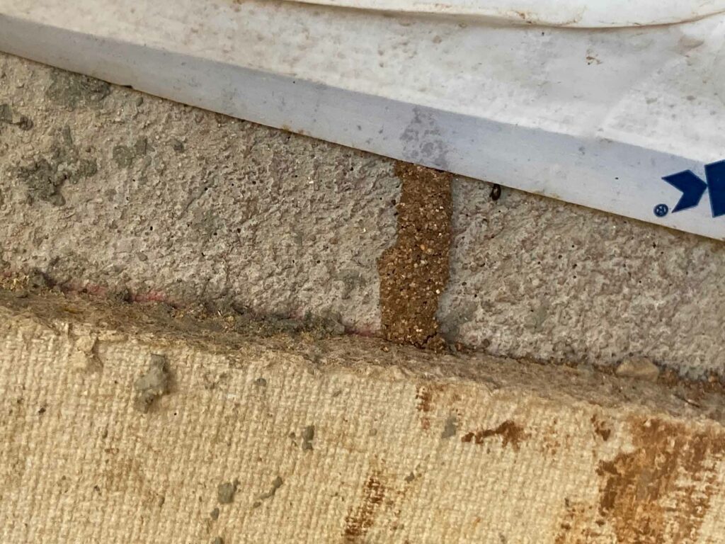 Termites on new construction in Arizona