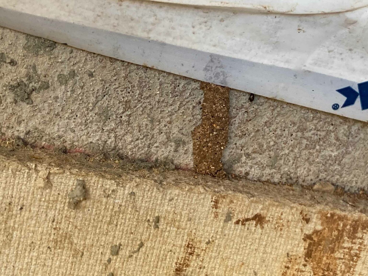 Arizona Termite Exterminators | Patriot Pest - Preston, AZ