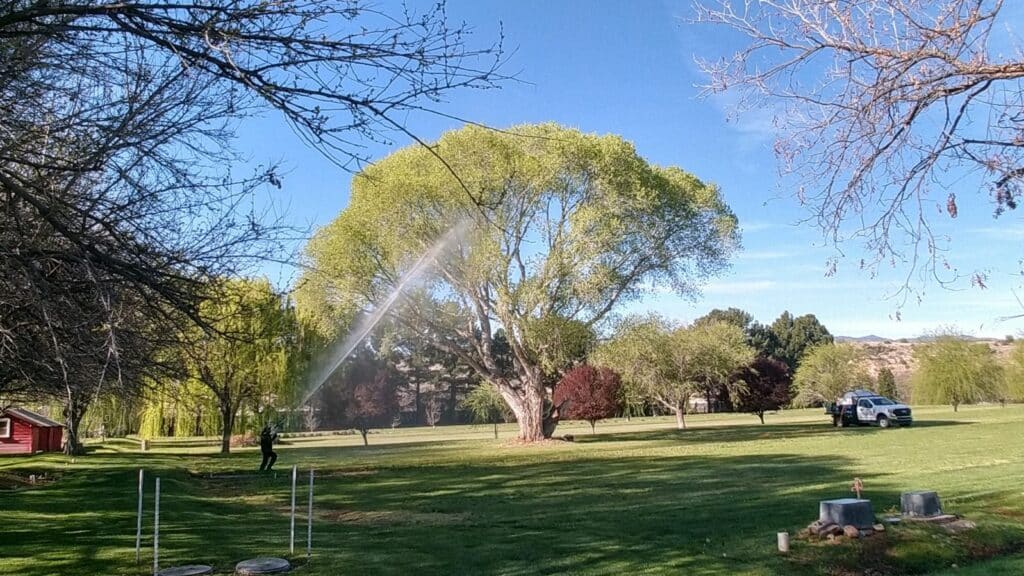 Tree spraying for pest control